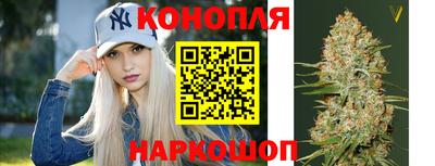 СК Краснознаменск