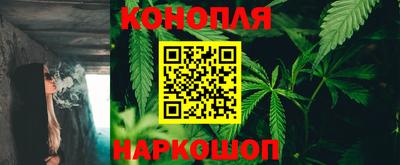СК Краснознаменск