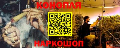 СК Краснознаменск